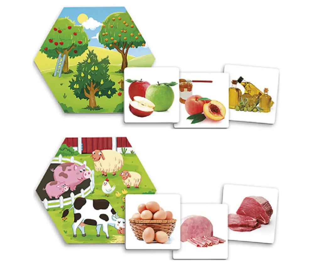 Enfant Tout Pour le Jeu Jeu d'où viennent les aliments ?