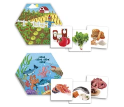 Enfant Tout Pour le Jeu Jeu d'où viennent les aliments ?