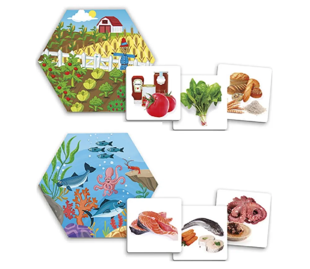 Enfant Tout Pour le Jeu Jeu d'où viennent les aliments ?