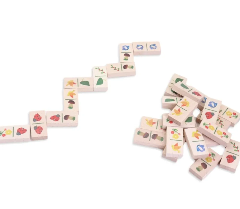 Tout Pour le Jeu Jeu domino Nature tout en bois fabrication France