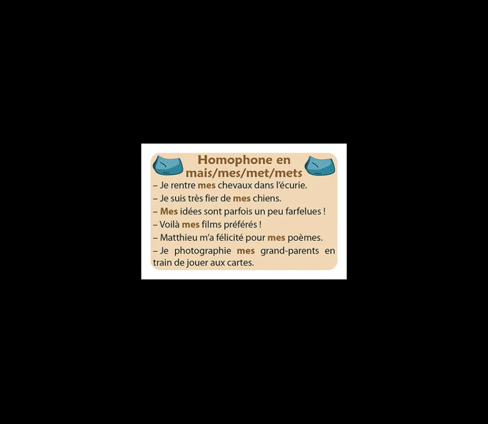 Tout Pour le Jeu Jeu Ortho Cat's 2 homophones grammaticaux orthographe CE1-collège