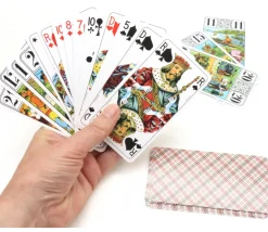 Tout Pour le Jeu Jeu tarot Ducale 78 cartes à jouer premium