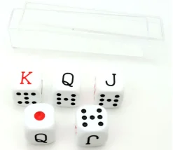 Tout Pour le Jeu Lot 5 dés poker américain 16 mm