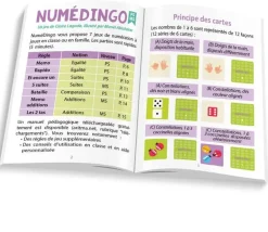 Tout Pour le Jeu Numédingo PS MS - jeu de numération
