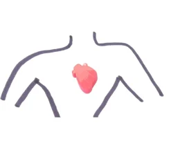 Tout Pour le Jeu Pion Coeur humain bonne santé et malade en bois