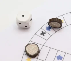 Tout Pour le Jeu Pion Rondin de bois pour jeu en bois Ø 17 mm