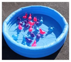 Enfant Tout Pour le Jeu Piscine gonflable Intex de 114 x 25 cm bleu
