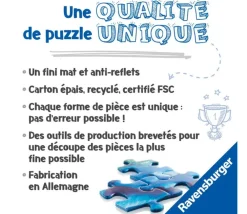 Tout Pour le Jeu Puzzle 300 pièces : le système solaire xxl - Ravensburger