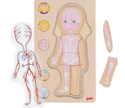 Tout Pour le Jeu Puzzle corps Humain fille - 5 puzzles bois à étage anatomie
