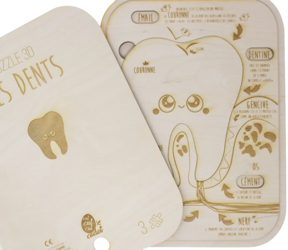 Tout Pour le Jeu Puzzle éducatif en bois - Les dents