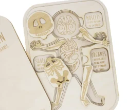 Tout Pour le Jeu Puzzle éducatif en bois Le corps humain : muscle, squelette et organes