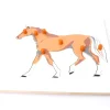 Tout Pour le Jeu Puzzle en bois cheval - 7 pièces à boutons à encastrer