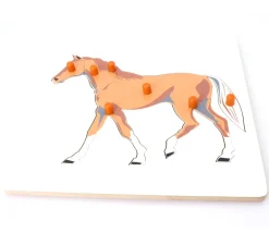 Tout Pour le Jeu Puzzle en bois cheval - 7 pièces à boutons à encastrer