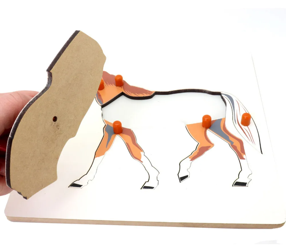 Tout Pour le Jeu Puzzle en bois cheval - 7 pièces à boutons à encastrer