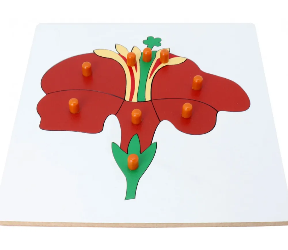 Tout Pour le Jeu Puzzle en bois fleur - 9 pièces à boutons à encastrer