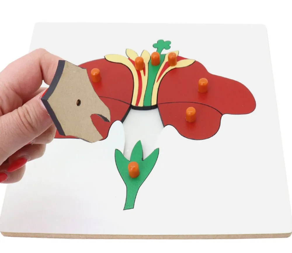 Tout Pour le Jeu Puzzle en bois fleur - 9 pièces à boutons à encastrer