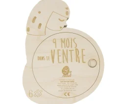 Tout Pour le Jeu Puzzle La grossesse - 9 mois dans le ventre