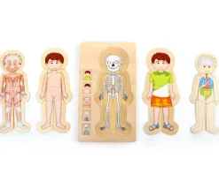 Tout Pour le Jeu Puzzles anatomie garçon - 4 puzzles à étage