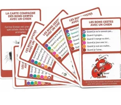 Tout Pour le Jeu SoCartes Jeu de cartes éducatif façon 7 familles