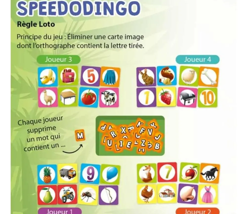 Tout Pour le Jeu Speedodingo CP CE2 - jeu lettres et orthographe