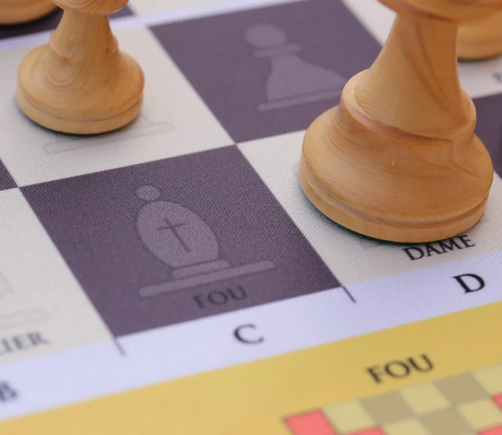 Tout Pour le Jeu Tapis d'échecs pédagogique 50 x 50 cm