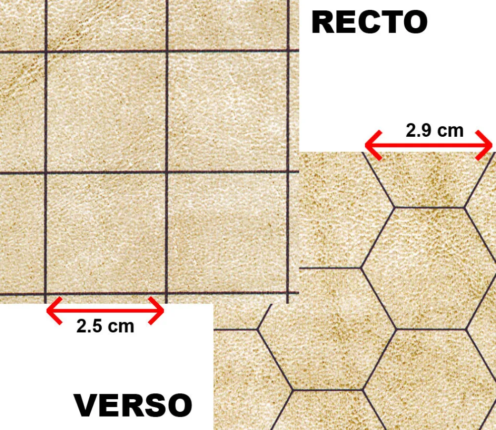 Tout Pour le Jeu Tapis de jeu recto-verso battlemap carré et hexagone effaçable plateau 66 x 60 cm