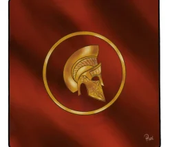 Tout Pour le Jeu Tapis de jeux 40 x 40 cm rouge Casque doré